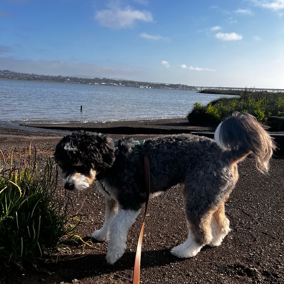 SURPRISE HAPPY MAIL - Picture 13 of 16